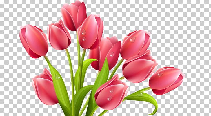 Tulip Flower PNG, Clipart, Clip Art, Cut Flowers, Floristry, Flower, Flower Bouquet Free PNG Download