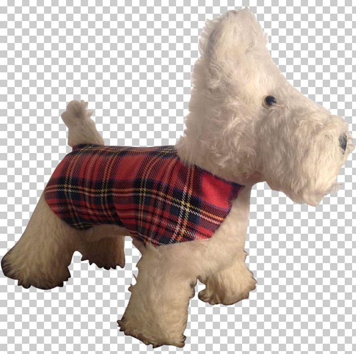 West Highland White Terrier Scottish Terrier Dog Breed Snout PNG, Clipart, Boston, Breed, Carnivoran, Dog, Dog Breed Free PNG Download