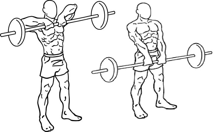 Upright Row Barbell Physical Exercise Shoulder Shrug PNG, Clipart, Angle, Area, Arm, Art, Artwork Free PNG Download