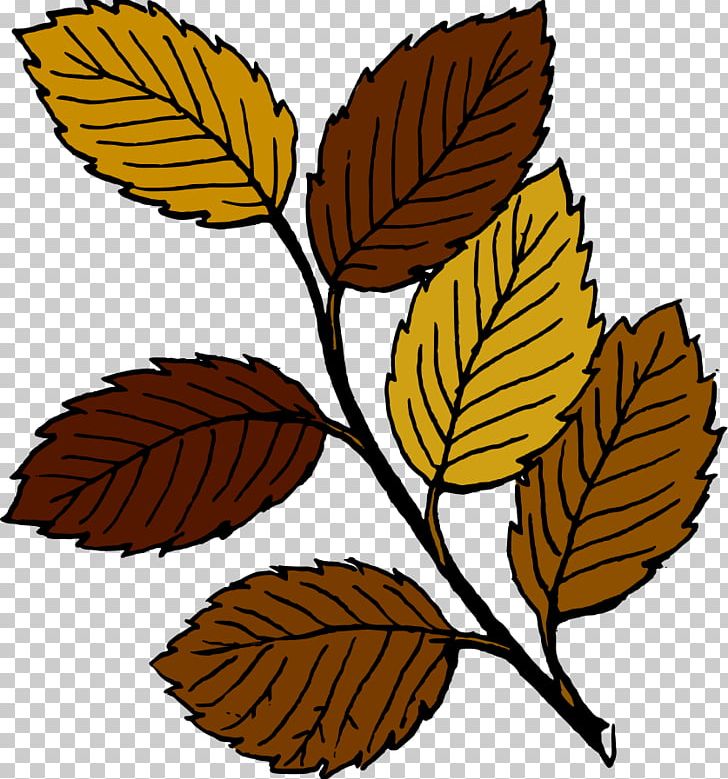 Autumn Leaf Color Free Content PNG, Clipart, Autumn, Autumn Leaf Color, Autumn Leaves Clipart, Branch, Download Free PNG Download