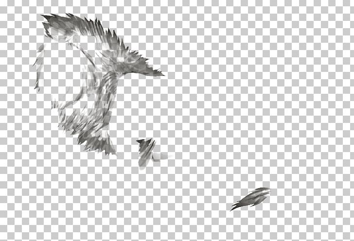 Bald Eagle Beak Feather White Font PNG, Clipart, Animals, Artwork, Bald Eagle, Beak, Bird Free PNG Download
