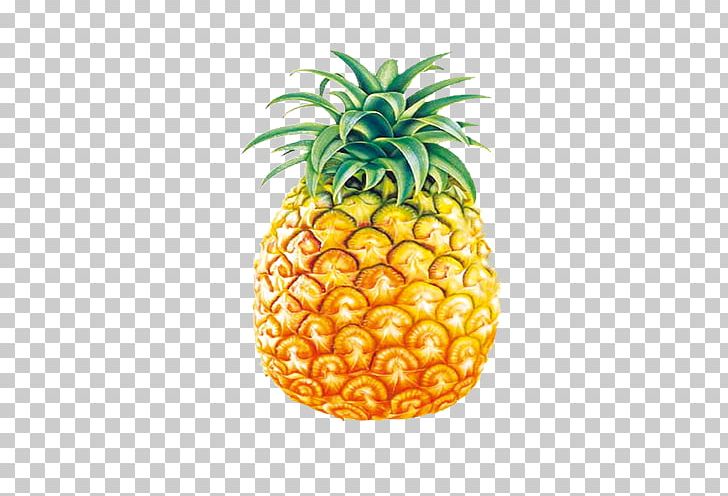 Juice Amazon.com Pineapple Fruit PNG, Clipart, Amazoncom, Ananas, Bromeliaceae, Cartoon Pineapple, Delivery Free PNG Download