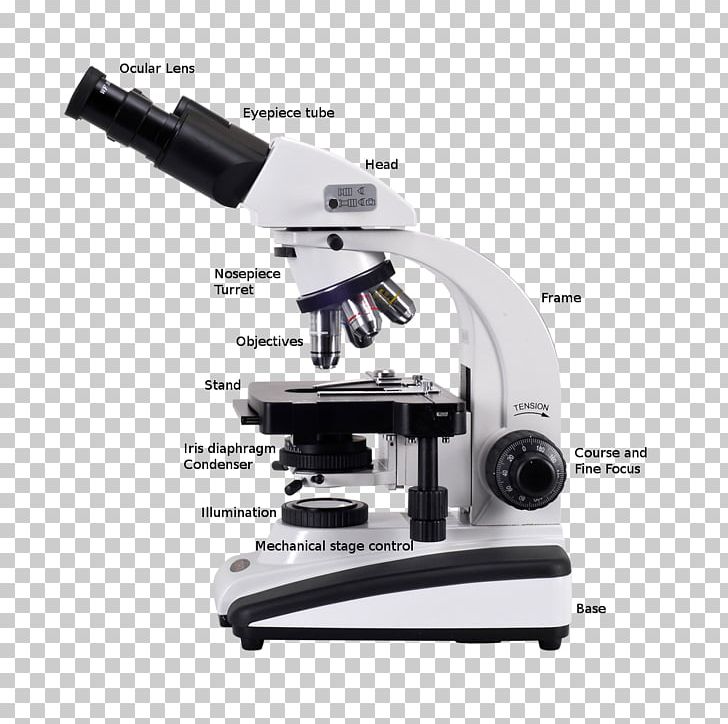 Optical Microscope Digital Microscope Scanning Electron Microscope PNG, Clipart, Condenser, Digital Microscope, Electron Microscope, Eyepiece, Inverted Microscope Free PNG Download