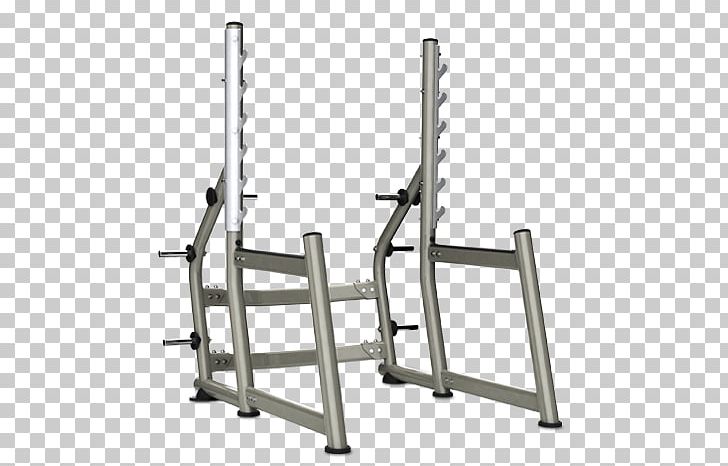 Power Rack Fitness Centre Squat Physical Fitness Bench Press PNG, Clipart,  Free PNG Download