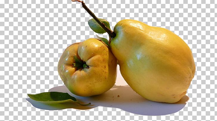 Quince Dessert Pear Fruit Food PNG, Clipart, Apple, Apple Fruit, Diet Food, Food Drinks, Fruit Juice Free PNG Download