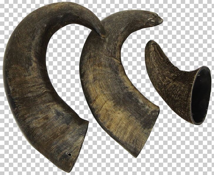 Dog Horn Water Buffalo Antler Deer PNG, Clipart, Antler, Artifact, Cattle, Chewing, Collar Free PNG Download