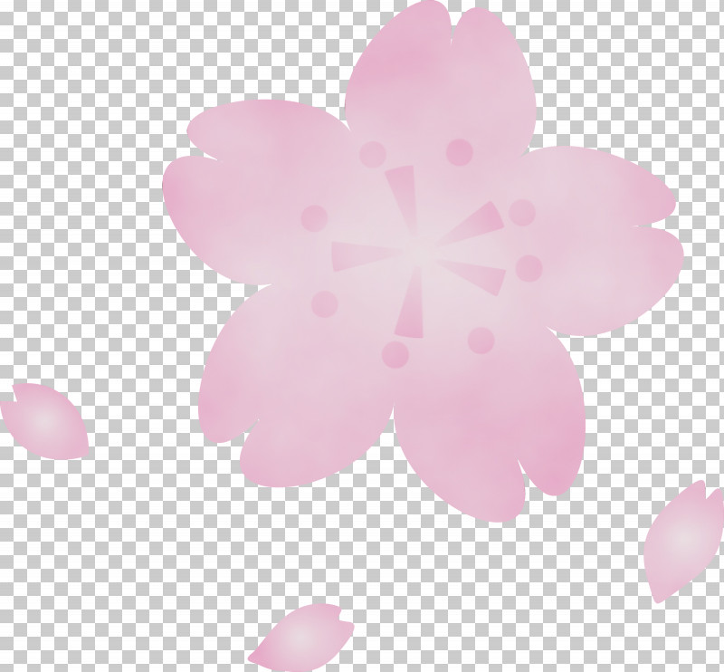 Pink Petal Flower Plant Pattern PNG, Clipart, Flower, Paint, Party Invitation Flower, Petal, Pink Free PNG Download