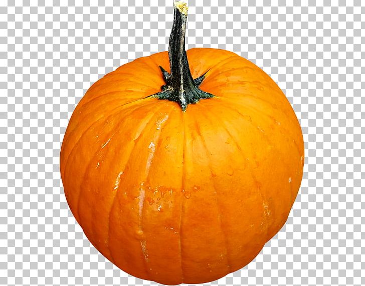 Calabaza Cucurbita Maxima Pumpkin Cucurbita Pepo Winter Squash PNG, Clipart, Calabaza, Commodity, Cucumber Gourd And Melon Family, Cucurbita, Cucurbita Maxima Free PNG Download