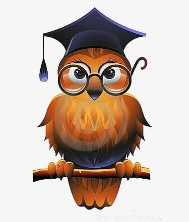 Cartoon Owl With Bachelor Cap PNG, Clipart, Animal, Bachelor, Bachelor Cap, Bachelor Clipart, Bachelor Clipart Free PNG Download