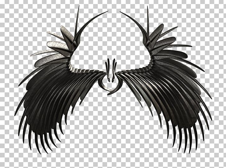 Feather Beak Neck White PNG, Clipart, Animals, Beak, Bird, Black And White, Eyebrow Free PNG Download