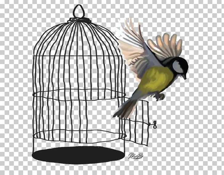 Lovebird Budgerigar Parrot Cage PNG, Clipart, Animal, Animals, Beak, Bird, Birdcage Free PNG Download
