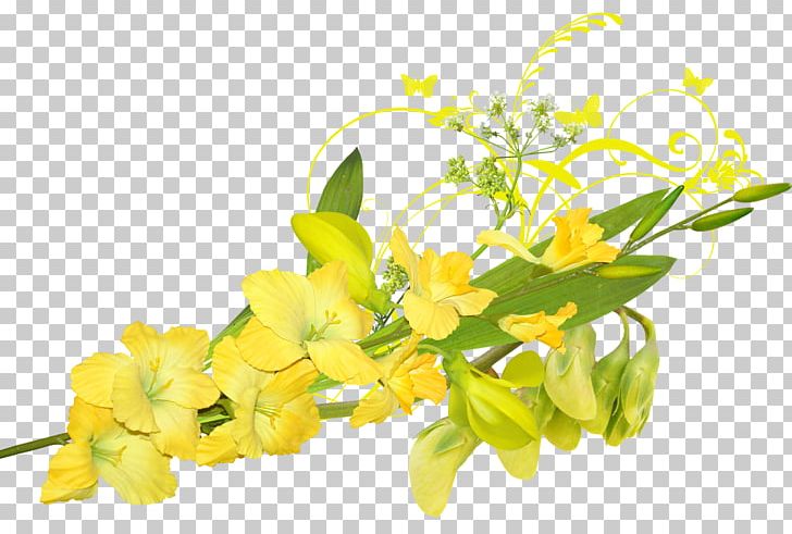 Flower PNG, Clipart, Blog, Cut Flowers, Desktop Wallpaper, Diary, Floral Design Free PNG Download