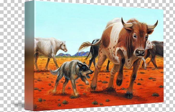 Australian Cattle Dog Dairy Cattle Stumpy Tail Cattle Dog Painting PNG, Clipart, Art, Australia, Australian Cattle Dog, Boskapshund, Canvas Free PNG Download