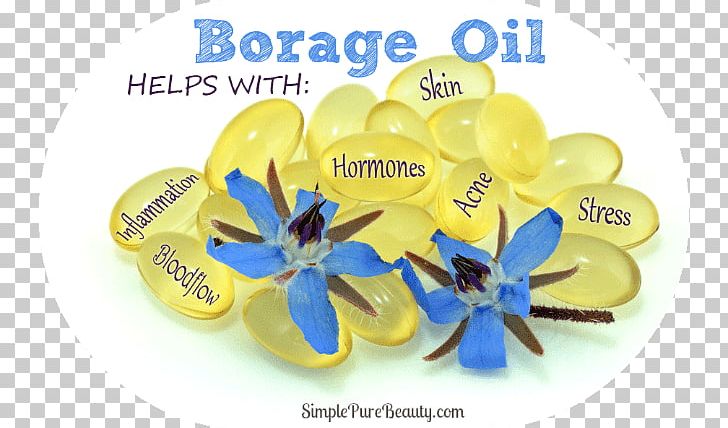 Borage Seed Oil Gamma-Linolenic Acid Food PNG, Clipart, Borage, Borage Seed Oil, Common Eveningprimrose, Fatty Acid, Flavor Free PNG Download