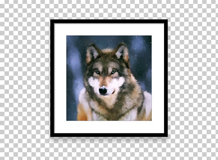 Siberian Husky Shikoku Dog Breed Allegro Snout PNG, Clipart, Allegro, Bluebonnets, Carnivoran, Dog, Dog Breed Free PNG Download