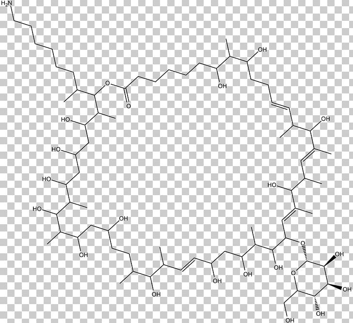 Circle Point Product Angle Pattern PNG, Clipart, Angle, Area, Black And White, Certificate Of Analysis, Circle Free PNG Download