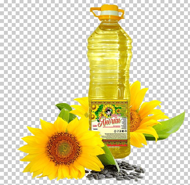 Common Sunflower Sunflower Oil Sunflower Seed Health PNG, Clipart, Carrier Oil, Common Sunflower, Cooking Oil, Cooking Oils, Fat Free PNG Download