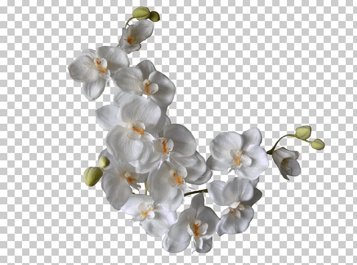 Flower White Orchids PNG, Clipart, Art White, Body Jewelry, Clip Art, Color, Desktop Wallpaper Free PNG Download