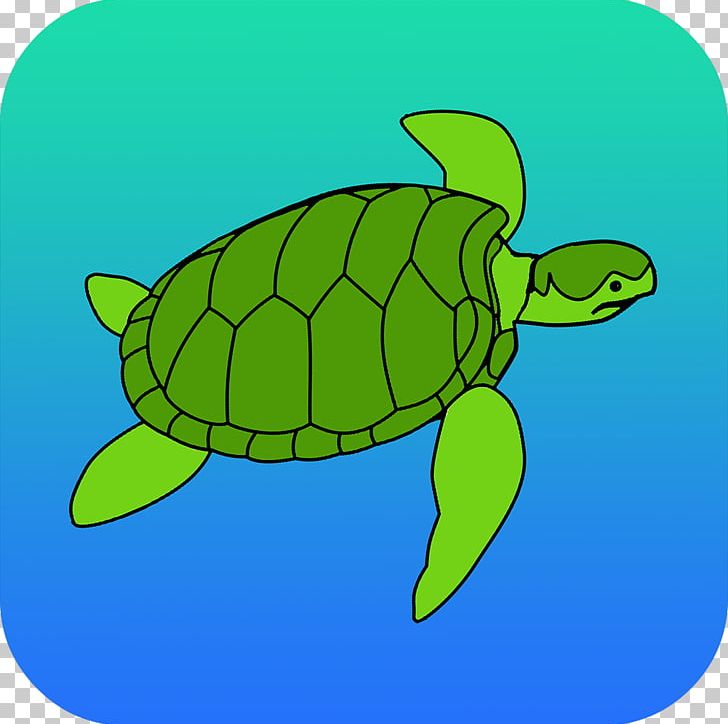 Loggerhead Sea Turtle Tortoise PNG, Clipart, Animals, App, Artwork, Clip Art, Fauna Free PNG Download