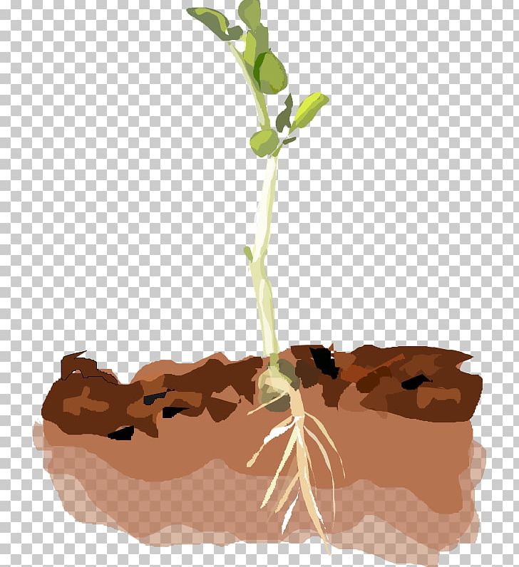 Soil Plant Computer Icons PNG, Clipart, Branch, Computer Icons, Flower, Flowerpot, Leaf Free PNG Download
