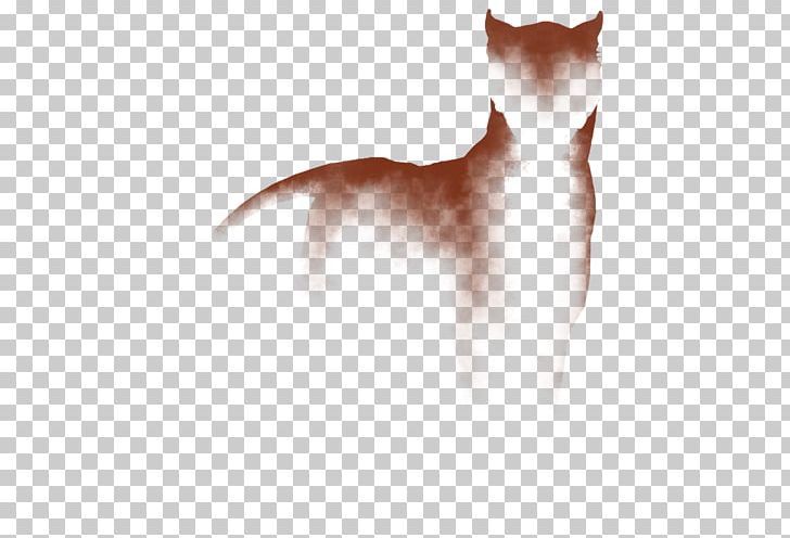 Whiskers Kitten Dog Breed Fur PNG, Clipart, Animals, Breed, Carnivoran, Cat, Cat Like Mammal Free PNG Download