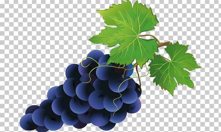 Grape Computer Icons PNG, Clipart, Computer Icons, Drawing, Flowering Plant, Food, Fotosearch Free PNG Download