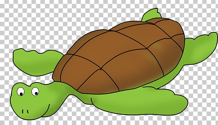 Sea Turtle PNG, Clipart, Cartoon, Download, Drawing, Fauna, Free Content Free PNG Download
