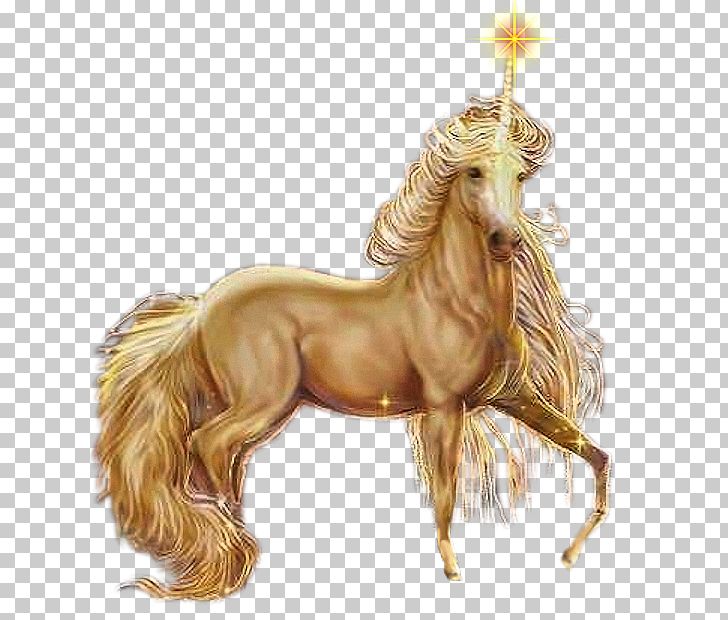 Unicorn Horse Drawing PNG, Clipart, Balloon Cartoon, Boy Cartoon, Caballo Alado, Cartoon Alien, Cartoon Character Free PNG Download