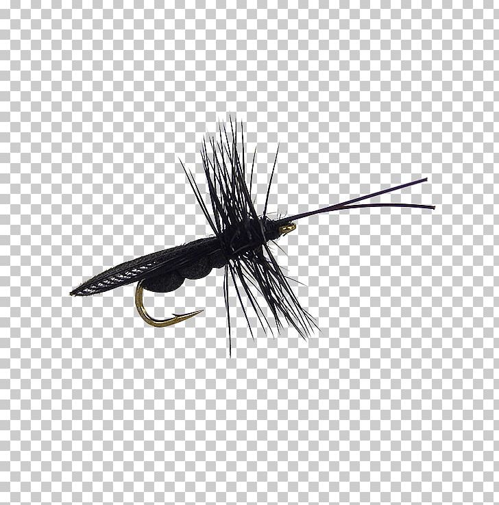 Artificial Fly Caddisflies Insect Wing PNG, Clipart, Arthropod, Artificial Fly, Coupon, Fly, Fly Fishing Free PNG Download