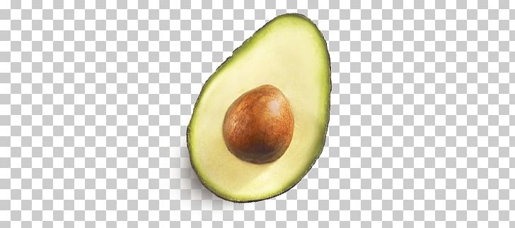 Avocado PNG, Clipart, Avocado Free PNG Download