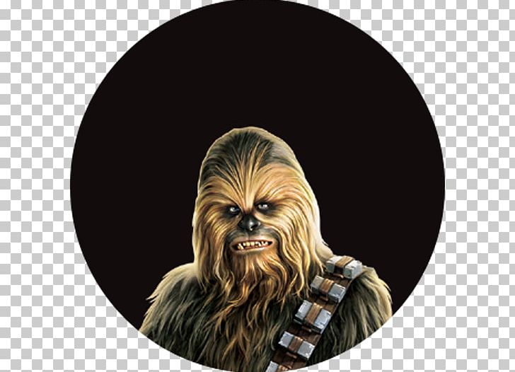 Elastoplast Chewbacca Adhesive Bandage Dressing Star Wars PNG, Clipart, Adhesive Bandage, Chewbacca, Dressing, Elastoplast, Elevenia Free PNG Download