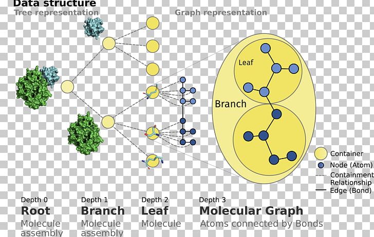 Product Design Tree Line Point PNG, Clipart, Area, Circle, Diagram, Line, Organism Free PNG Download