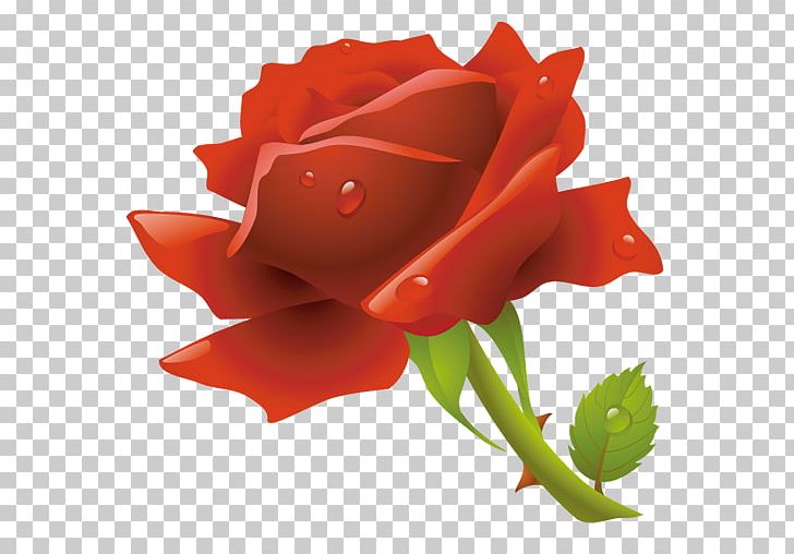Garden Roses PNG, Clipart, Art, Bud, Cut Flowers, Floribunda, Flower Free PNG Download