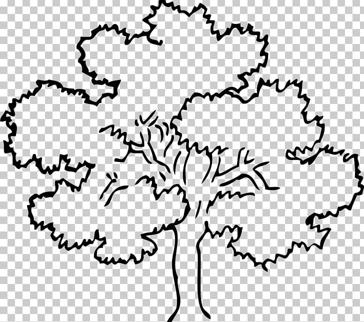 Tree Oak Outline PNG, Clipart, Black, Black And White, Black Trees Cliparts, Coloring Book, Diagram Free PNG Download
