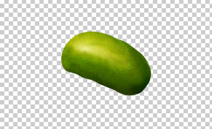 Wax Gourd Pickled Cucumber Natural Foods Avocado PNG, Clipart, Avocado, Beanstalk, Commodity, Cucumber, Cucumber Gourd And Melon Family Free PNG Download