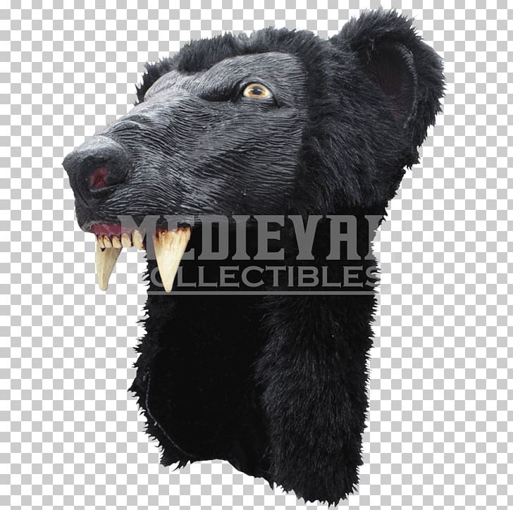 American Black Bear Fur Snout PNG, Clipart, American Black Bear, Bear, Carnivoran, Fur, Head Dress Free PNG Download