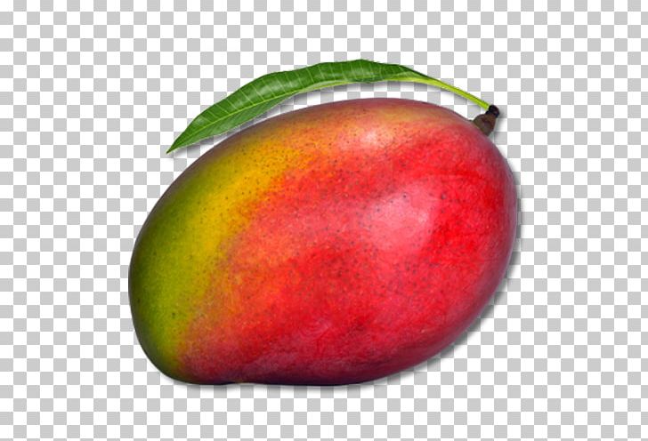 Juice Mango Computer Icons PNG, Clipart, Accessory Fruit, Computer Icons, Download, Editing, Food Free PNG Download