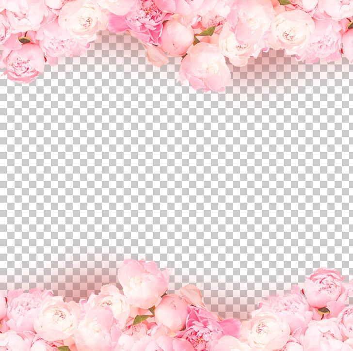 Rose Pink PNG, Clipart, Blossom, Border, Cherry Blossom, Computer Wallpaper, Day Free PNG Download
