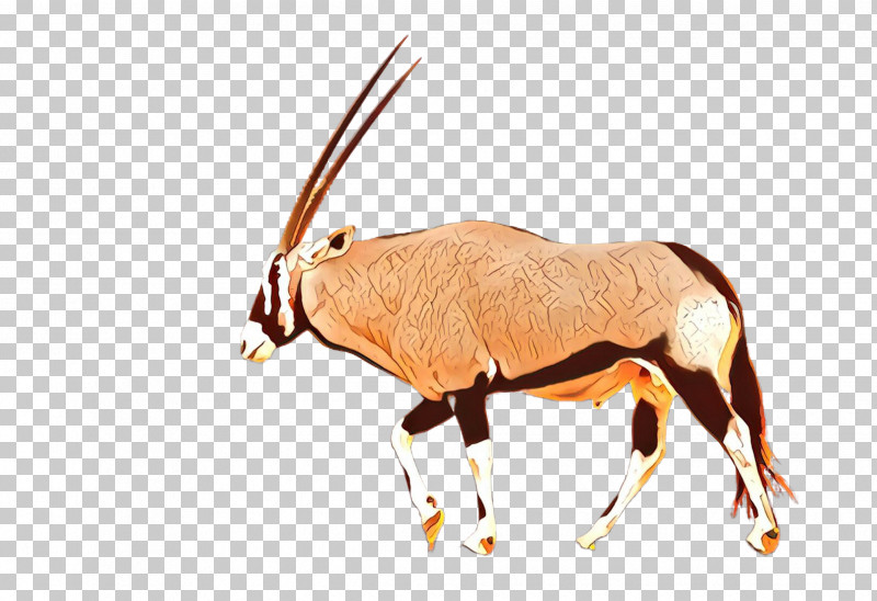 Antelope Oryx Gemsbok Wildlife Cow-goat Family PNG, Clipart, Animal Figure, Antelope, Cowgoat Family, Fawn, Gazelle Free PNG Download
