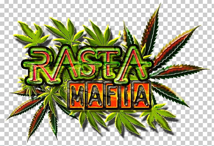 Cannabis Hemp Hashish Illegal Drug Trade PNG, Clipart, Bag, Cannabis, Culture, Drug, Game Free PNG Download