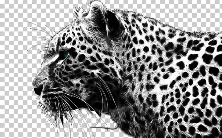 Cheetah Computer Icons PNG, Clipart, Animals, Big Cats, Black And White, Carnivoran, Cat Like Mammal Free PNG Download