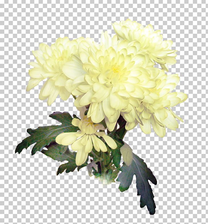 Chrysanthemum Floral Design Cut Flowers Dahlia PNG, Clipart, Artificial Flower, Chrysanthemum, Chrysanths, Cut Flowers, Dahlia Free PNG Download