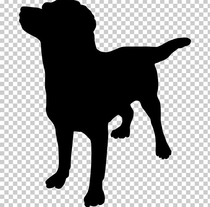 French Bulldog Great Dane Puppy Rottweiler How To Massage Your Dog PNG, Clipart, Animals, Black, Black And White, Black Dog, Canine Massage Free PNG Download