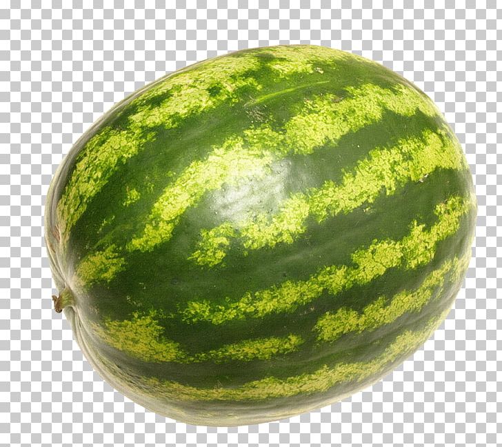 essay on fruit watermelon