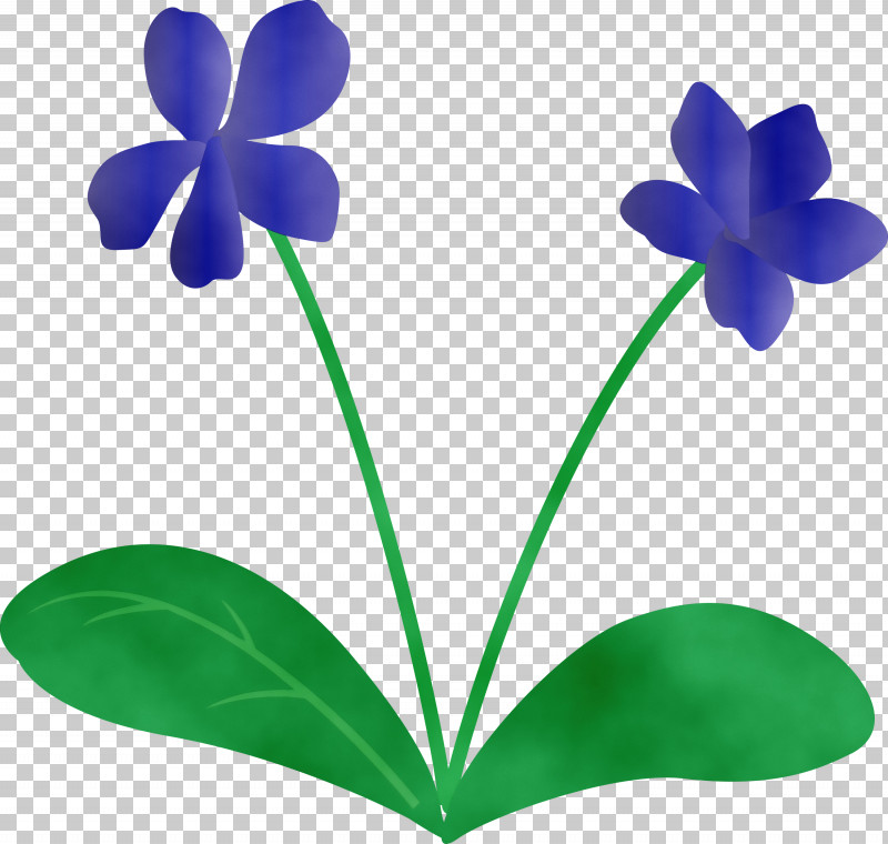 Plant Stem Flower Leaf Petal Flora PNG, Clipart, Biology, Flora, Flower, Leaf, Paint Free PNG Download