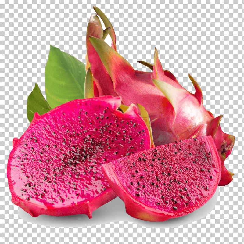 Cactus PNG, Clipart, Accessory Fruit, Cactus, Costa Rican Pitahaya, Dragonfruit, Food Free PNG Download