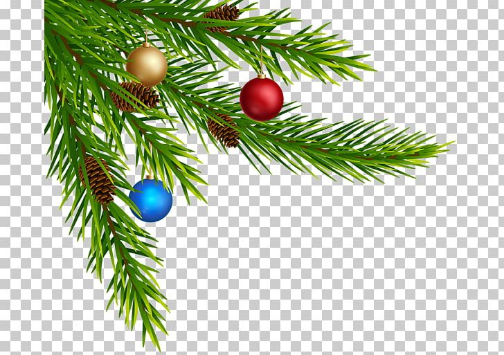 Art PNG, Clipart, Art, Art Museum, Branch, Christmas, Christmas Decoration Free PNG Download