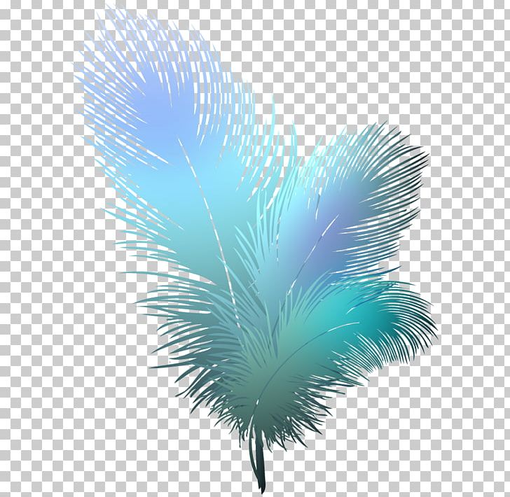 Bird Feather PNG, Clipart, Animals, Bird, Color, Computer Wallpaper, Drawing Free PNG Download