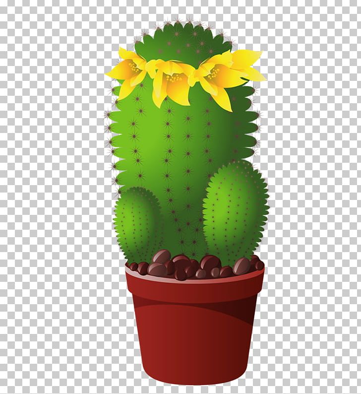 Cactaceae Cactus Et Succulentes Flower PNG, Clipart, Cactaceae, Cactus, Cactus Flowers, Caryophyllales, Drawing Free PNG Download