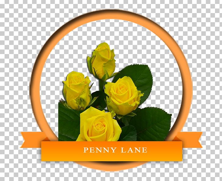 Garden Roses Flower Yellow Floral Design PNG, Clipart, Cut Flowers, Floral Design, Floristry, Flower, Flower Arranging Free PNG Download